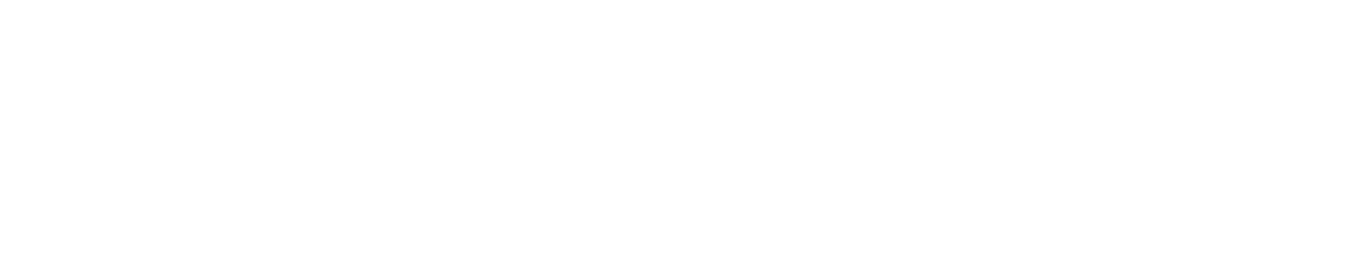 NauSYS Logo White
